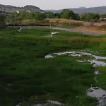 Isidora